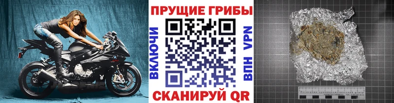 Псилоцибиновые грибы MAGIC MUSHROOMS  закладка  Сыктывкар 